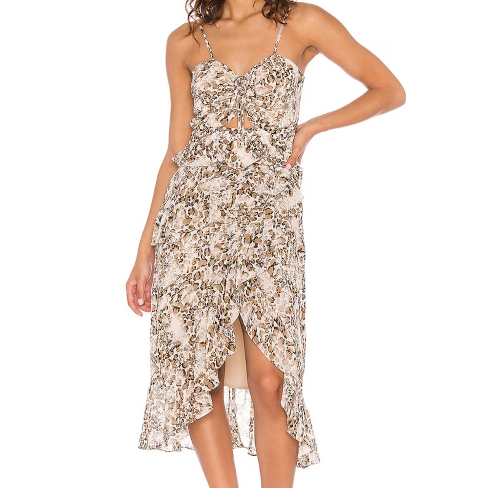 BARDOT Briana Leopard Print Dress Size XS